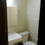 pedestial sink and comode and tri-view medicine cabinet